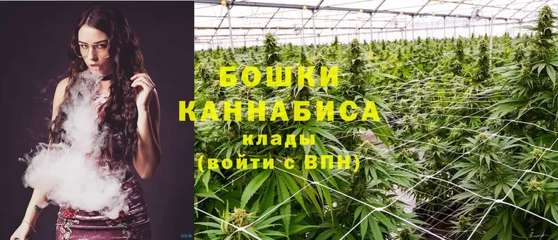 Шишки марихуана OG Kush  где продают наркотики  гидра онион  Белореченск 